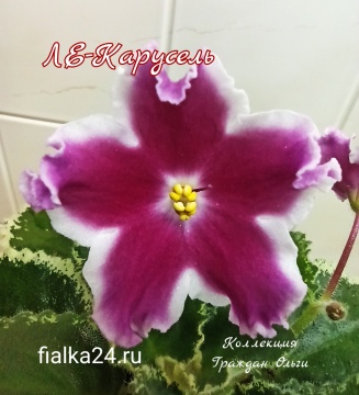 ЛЕ - Карусель
