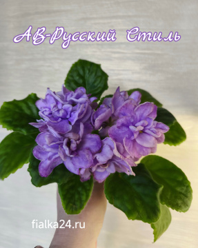 АВ-Русский Стиль