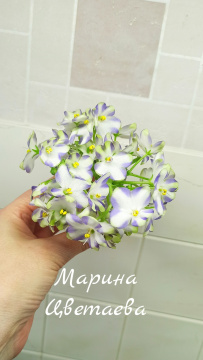 Марина Цветаева (Басенина)