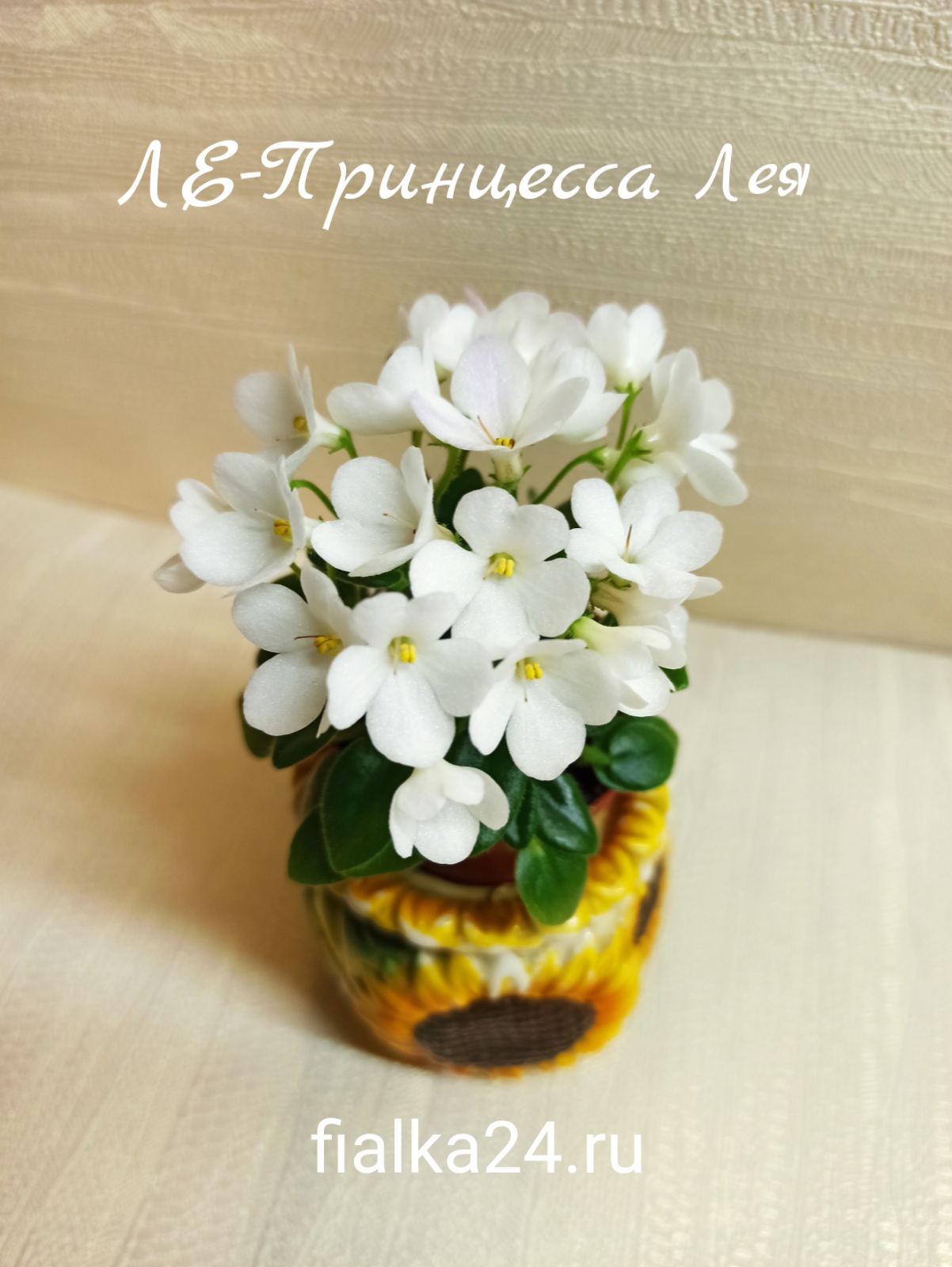 ЛЕ-Принцесса Лея