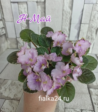 Н-Май