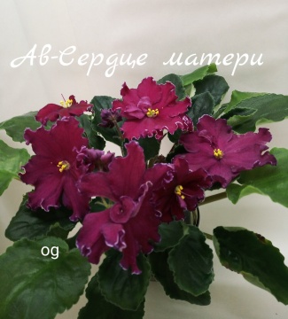 АВ-Сердце Матери