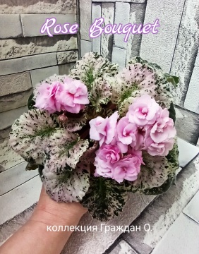 Rose Bouquet (Addison)