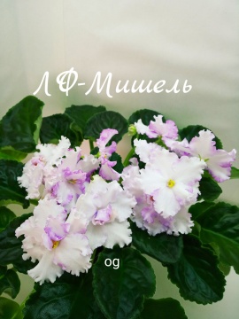 ЛФ-Мишель
