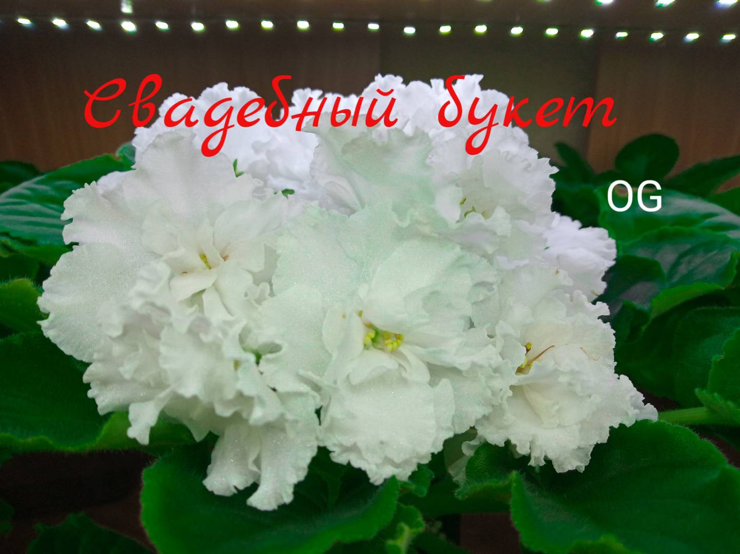 Свадебный букет