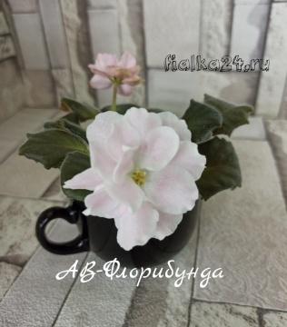 АВ-Флорибунда