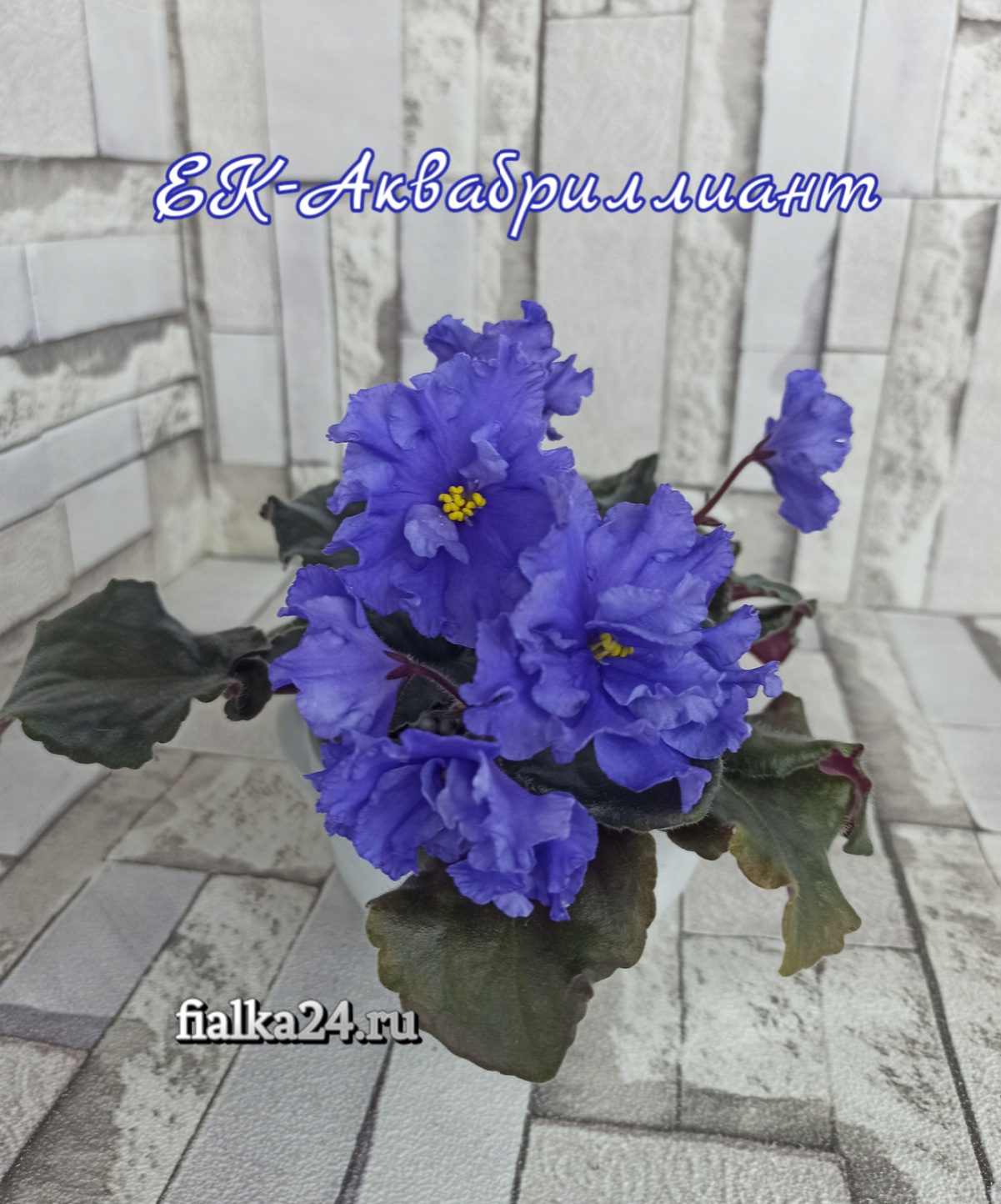 ЕК-Аквабриллиант 