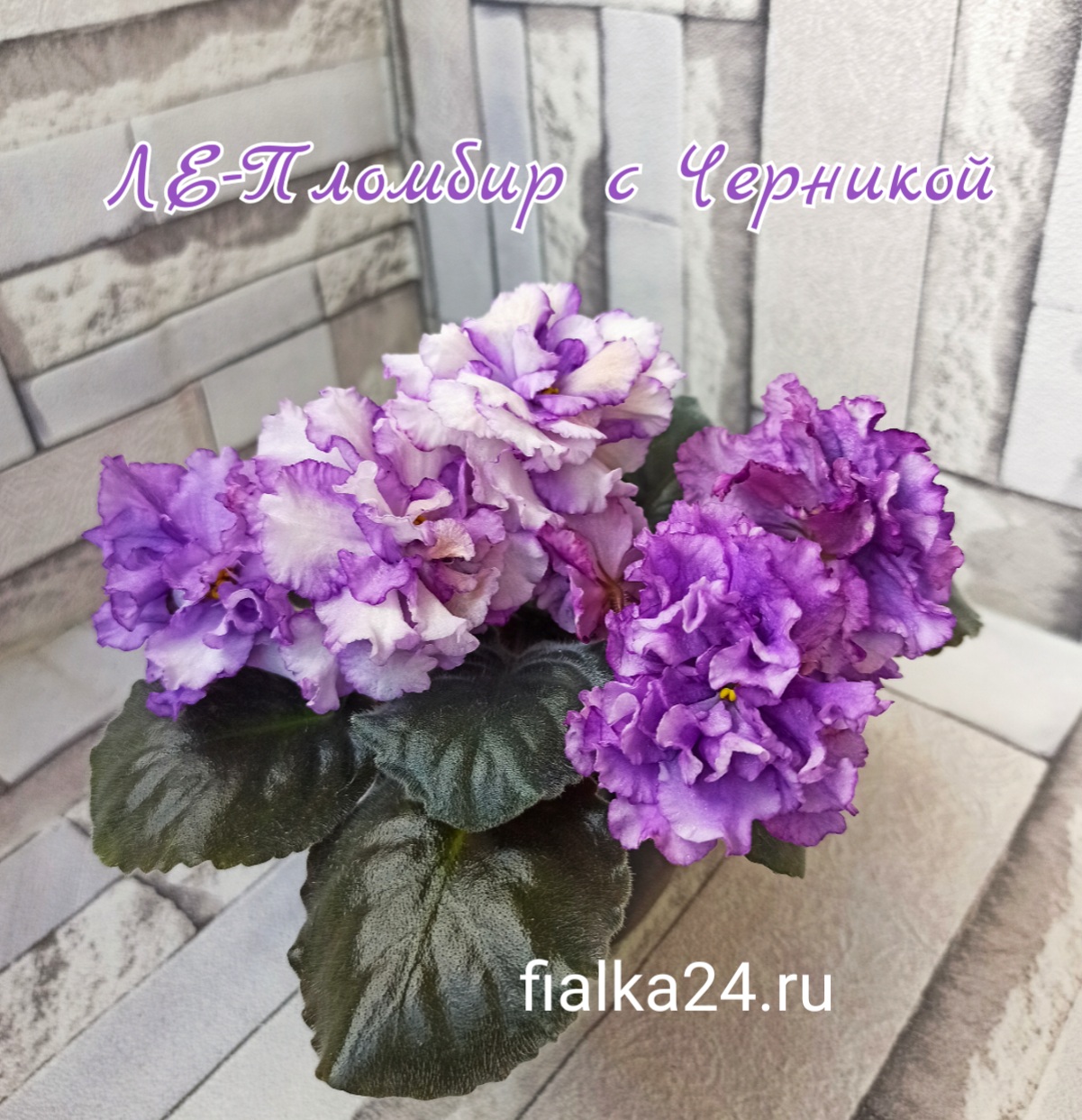 ЛЕ-Пломбир с Черникой