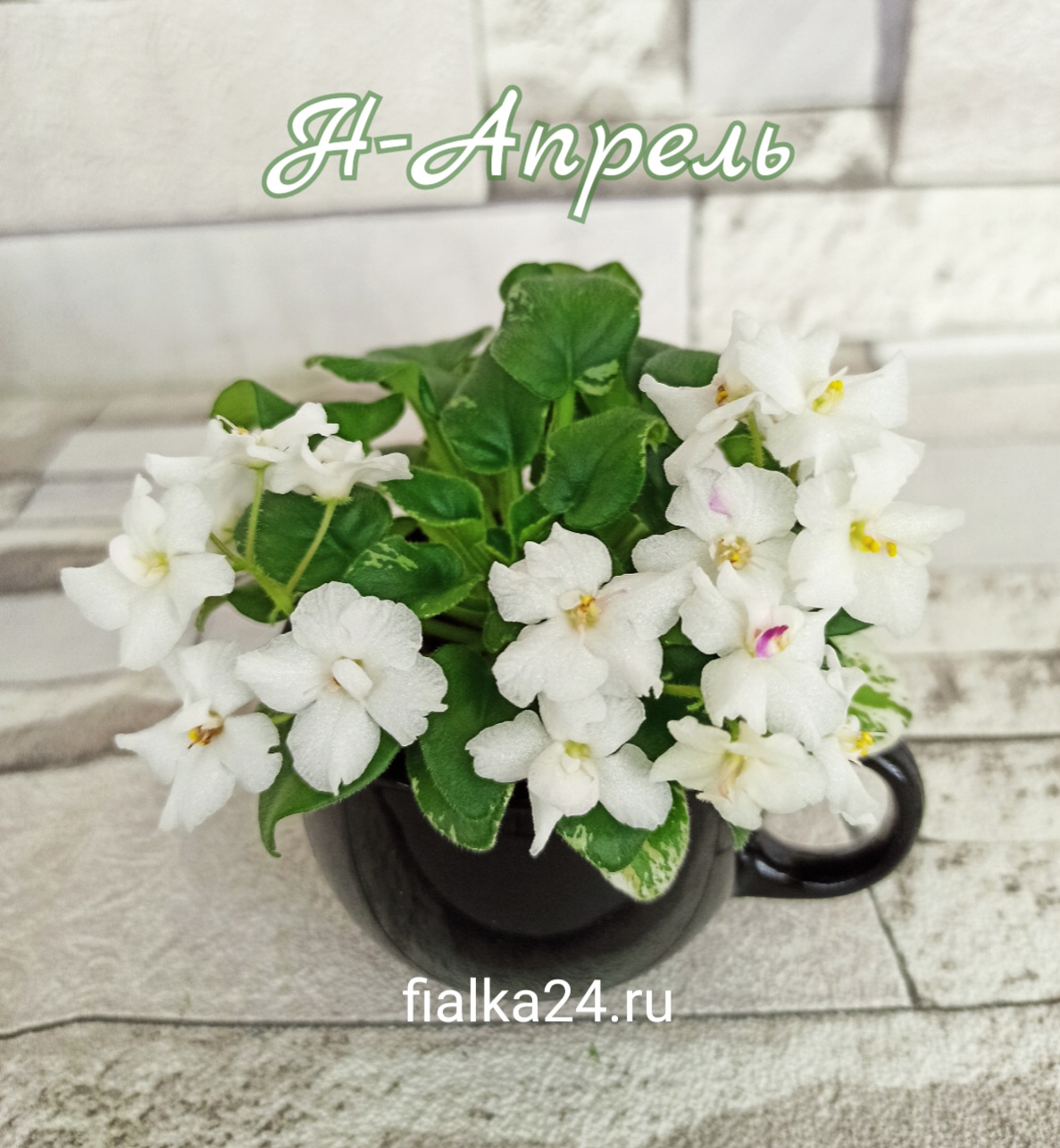 Н-Апрель