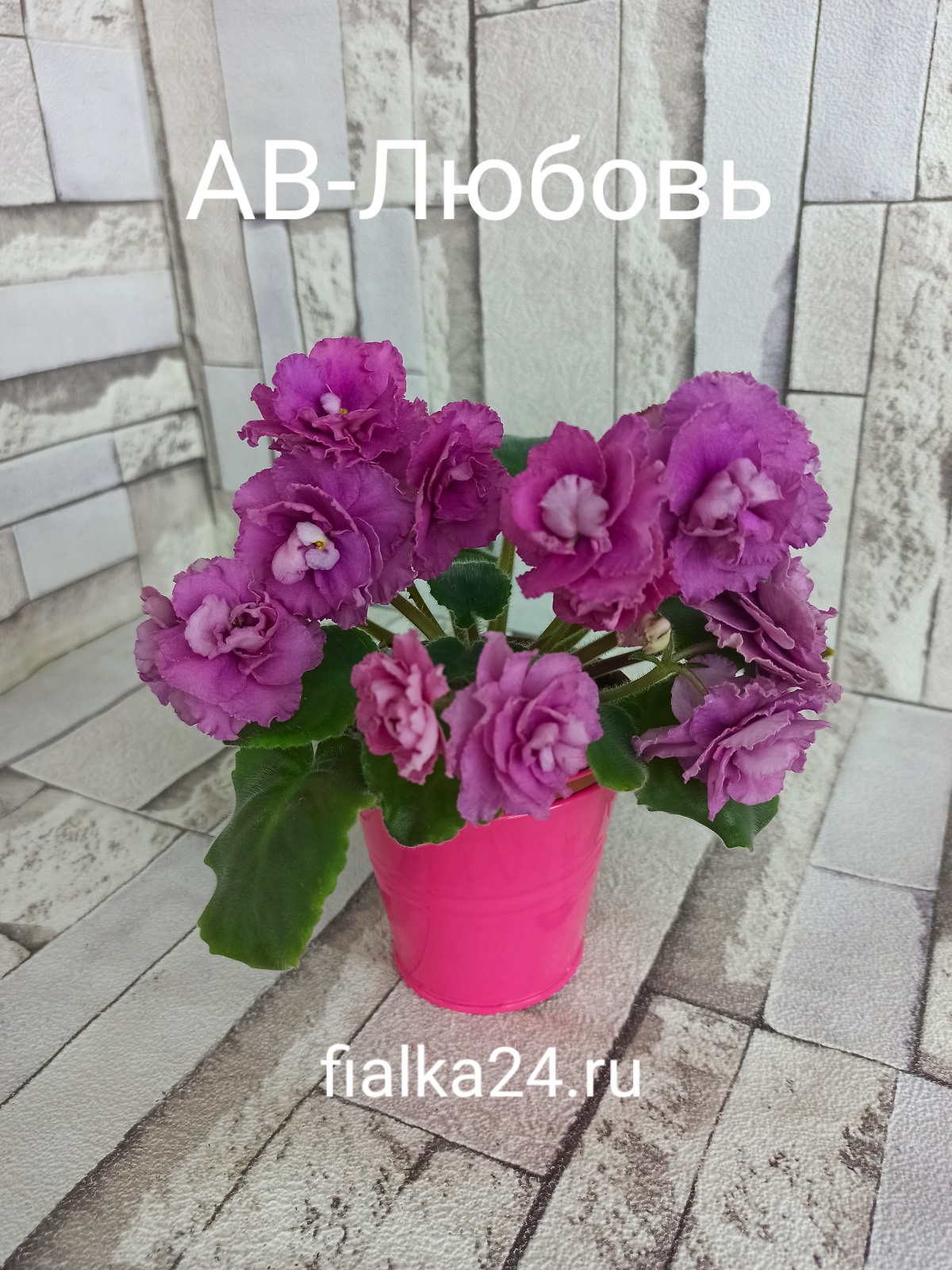 АВ-Любовь