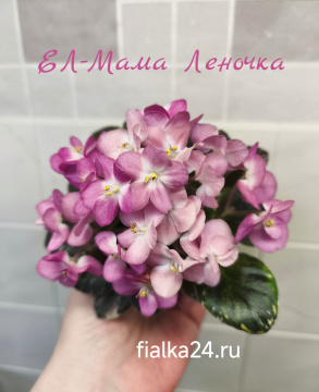 ЕЛ-Мама Леночка