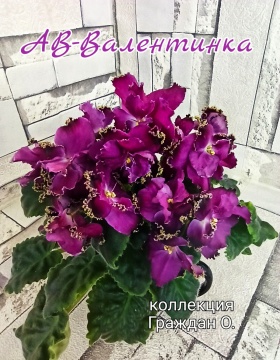 АВ-Валентинка
