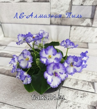 ЛЕ-Алмазная пыль