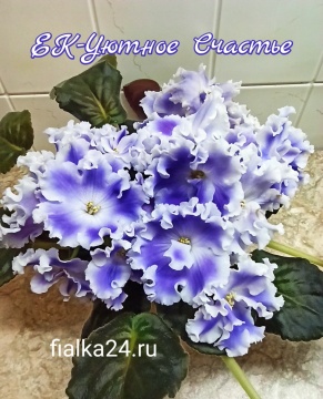 ЕК-Уютное счастье 