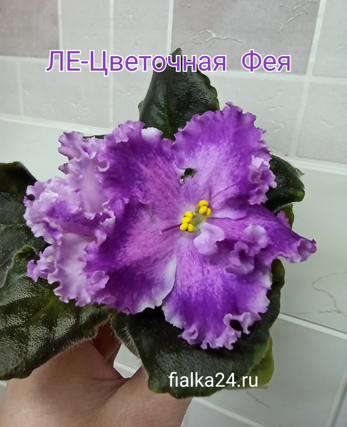 ЛЕ-Цветочная Фея