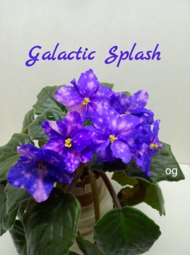 Galactic Splash (Sorano)