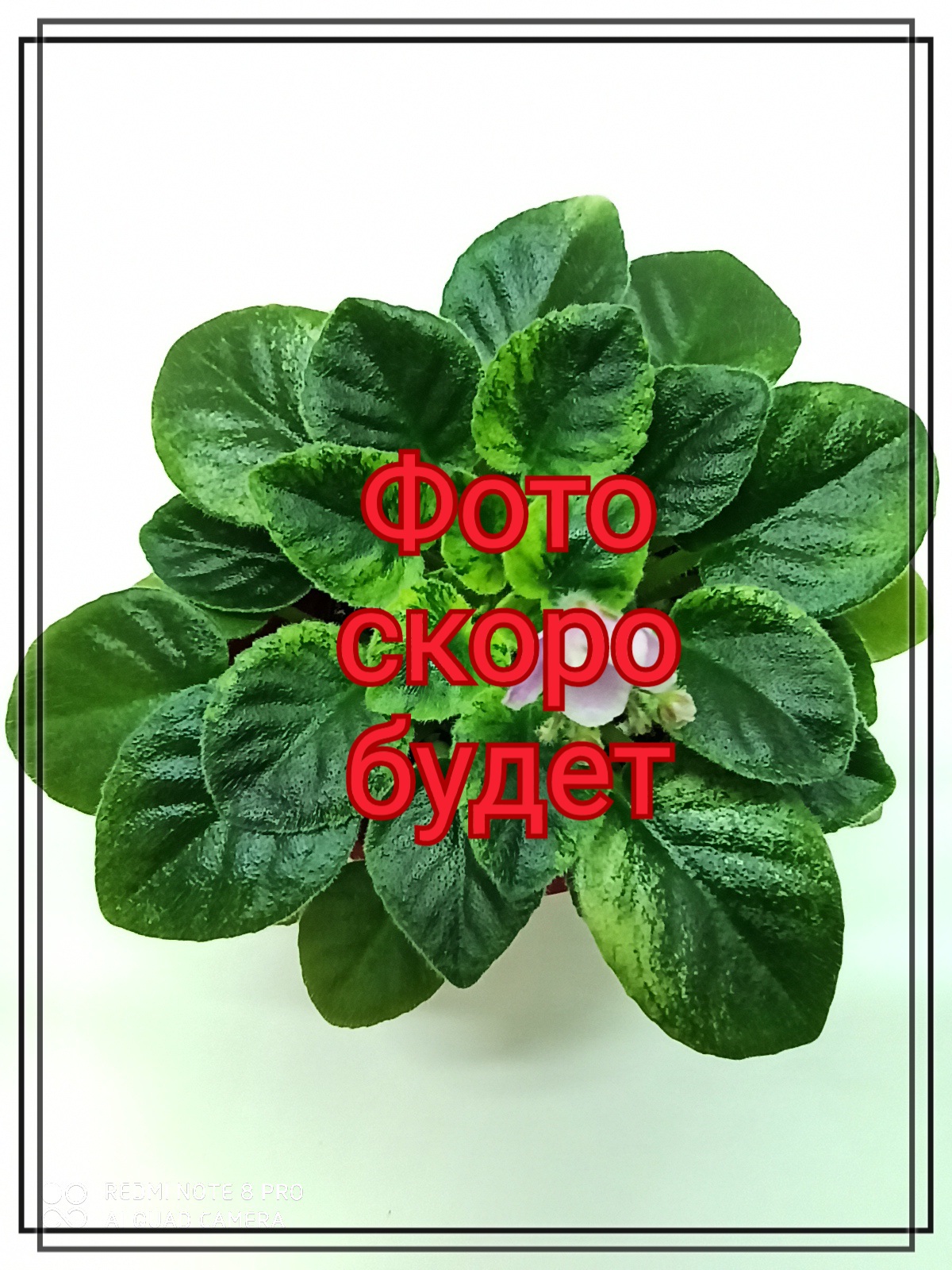 АВ-Алмаз Души Моей