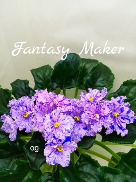 Fantasy Maker (Sorano)