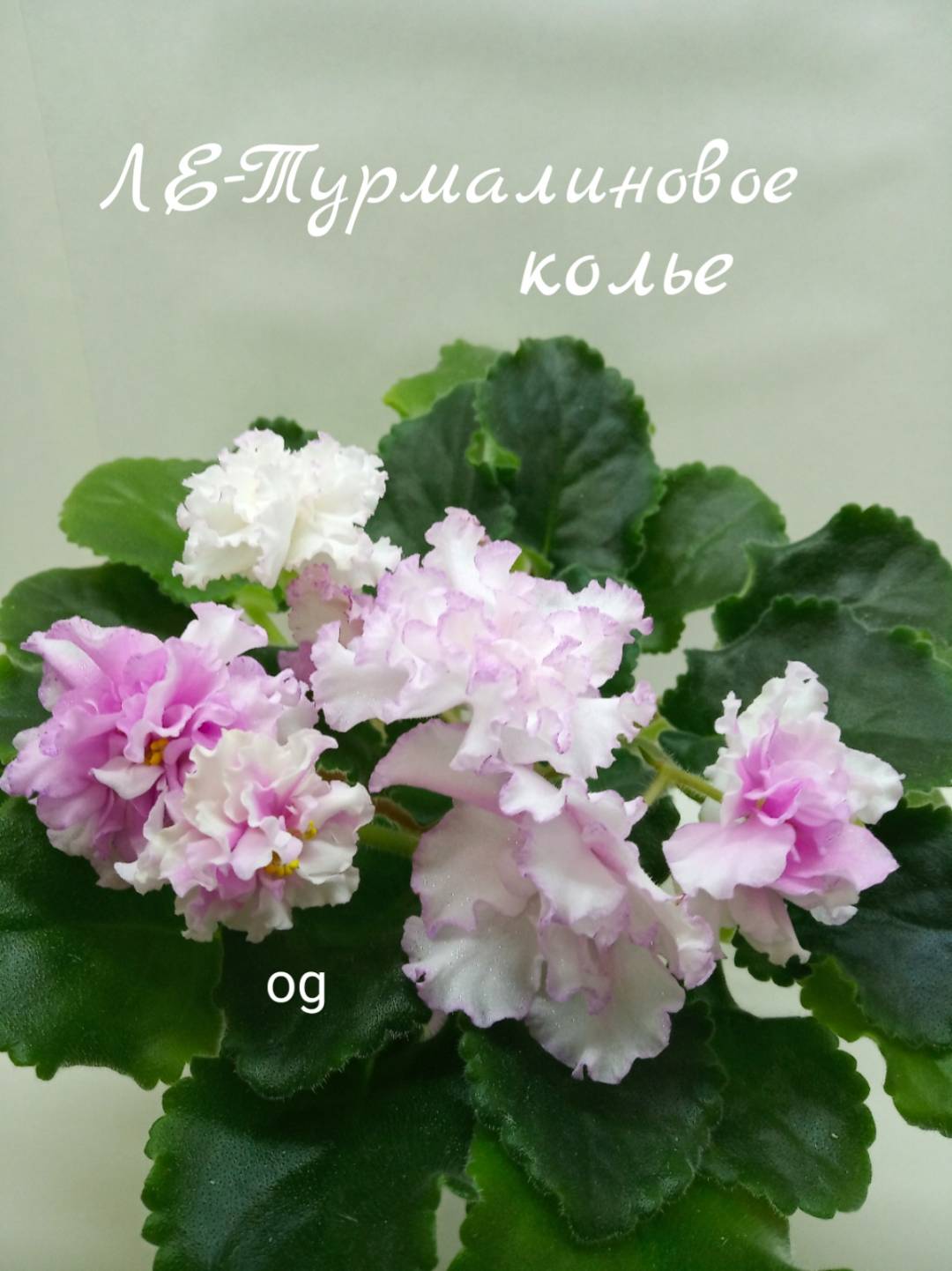 ЛЕ - Турмалиновое колье