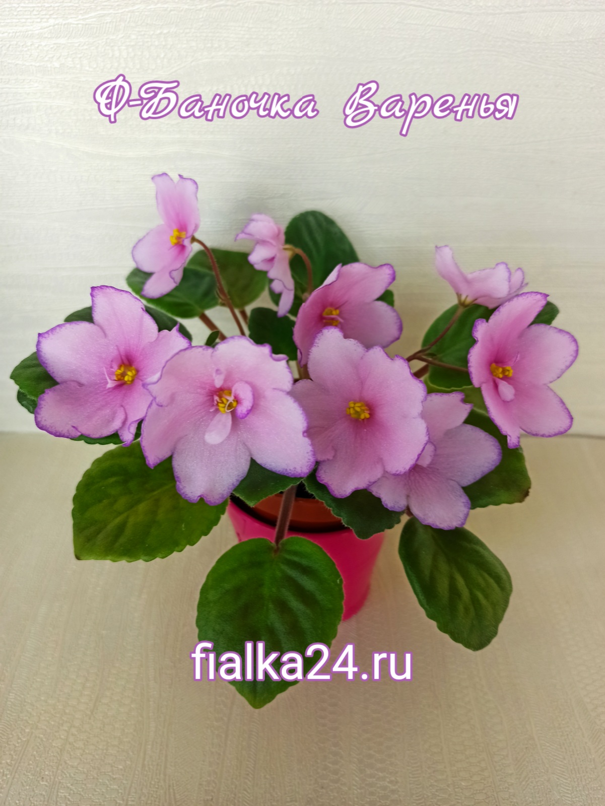 Ф-Баночка Варенья