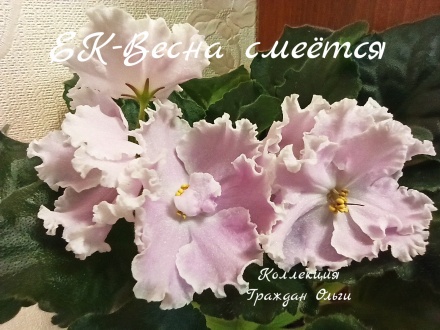 ЕК-Весна смеется