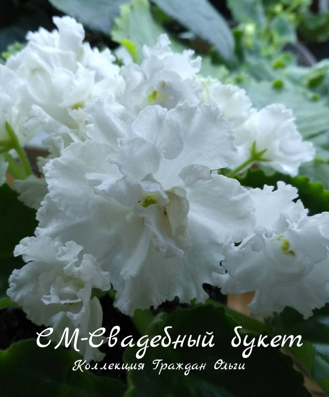 Свадебный букет