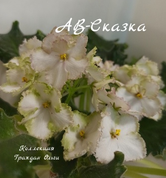АВ-Сказка
