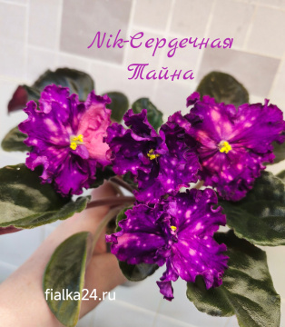 Nik-Сердечная Тайна