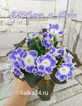 ЕК-Снег и Небо