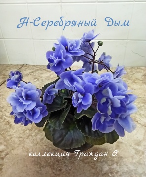 Н-Серебряный Дым