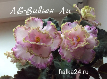 ЛЕ-Вивьен Ли