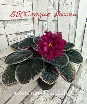 ЕК-Сердце России