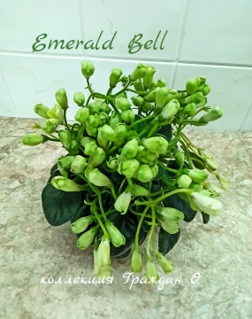 Emerald Bell (О.Бышева)