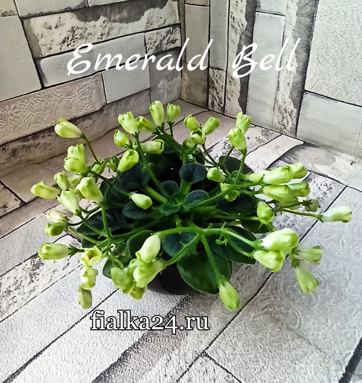 Emerald Bell (О.Бышева)