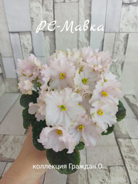 РС-Мавка