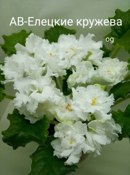 АВ-Елецкие кружева 
