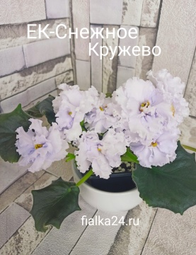 ЕК-Снежное кружево