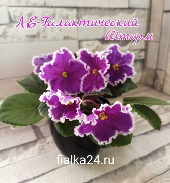 ЛЕ-Галактический Шторм
