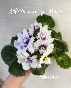 ЛФ-Домик у Моря