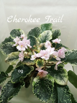 Cherokee Trail  (L.Ray)