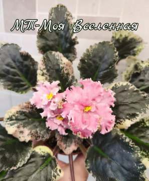 МТ-Моя Вселенная