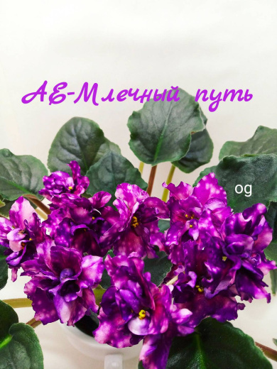 АЕ-Млечный путь