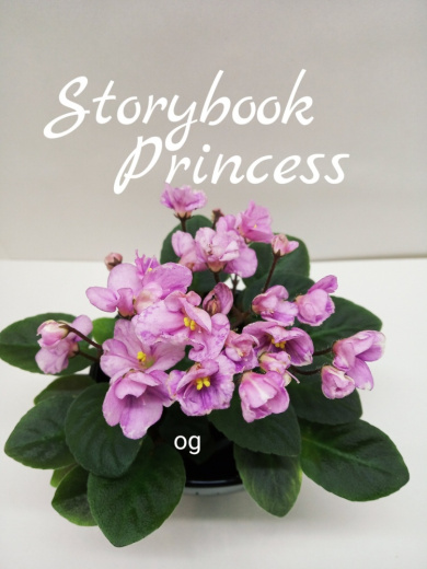 Storybook Princess (LLG/Sorano)
