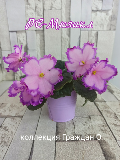 РС-Мюзикл