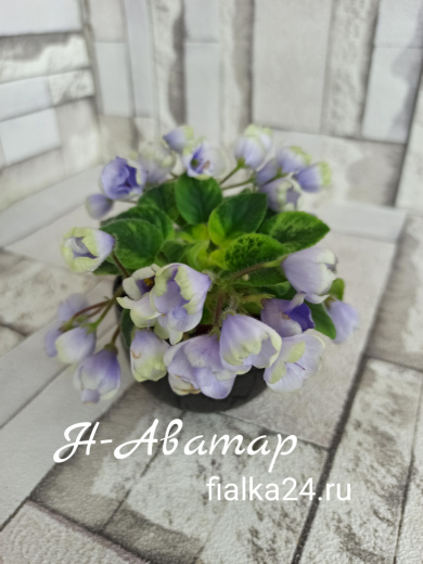 Н-Аватар