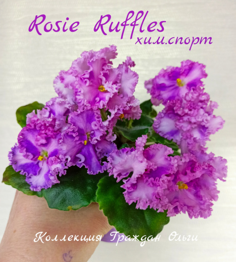 Rosie Ruffles (Harrington)