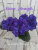 Inner Strength (LLG/Sorano)