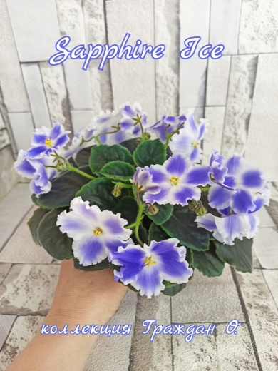 Sapphire Ice (LLG)