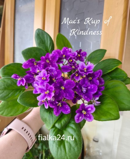 Mac's Kup of Kindness (McDonald)
