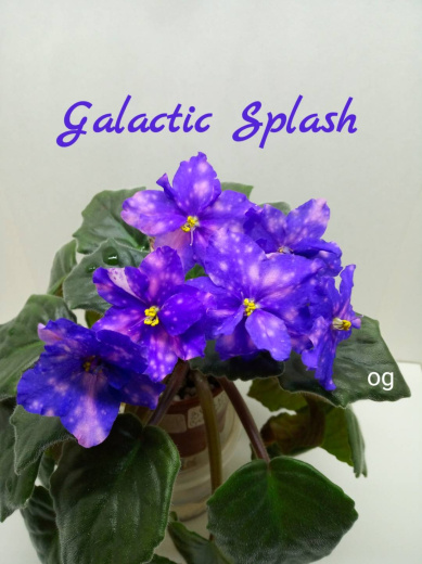 Galactic Splash (Sorano)
